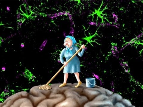 10 مواد تقتل خلايا المخ وتضعف نموه