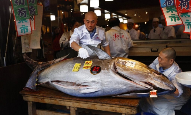 بيع سمكة تونة بسعر 1.8 مليون دولار في مزاد باليابان