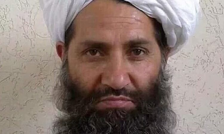 “نيويورك تايمز”: “طالبان” تستعد لتسمية قائد أعلى وتشكيل حكومتها